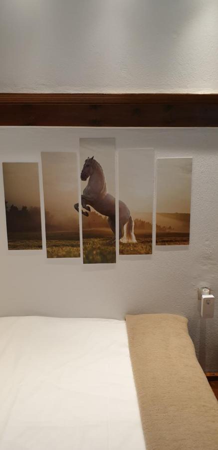 Astraka Guesthouse I 파피그콘 외부 사진